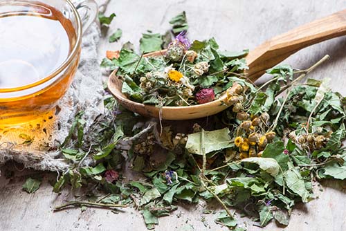 tasse d’infusion à base de plantes