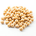 Soya isoflavonen