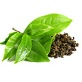 Groene Thee Extract