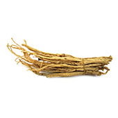 Panax Ginseng