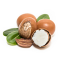 Macadamia noot olie