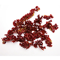 Carrageen