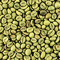 Groene Bonen Extract