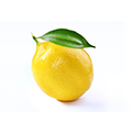 Rutine
