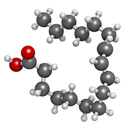 Bifidobacterium Infanti