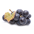 Resveratrol